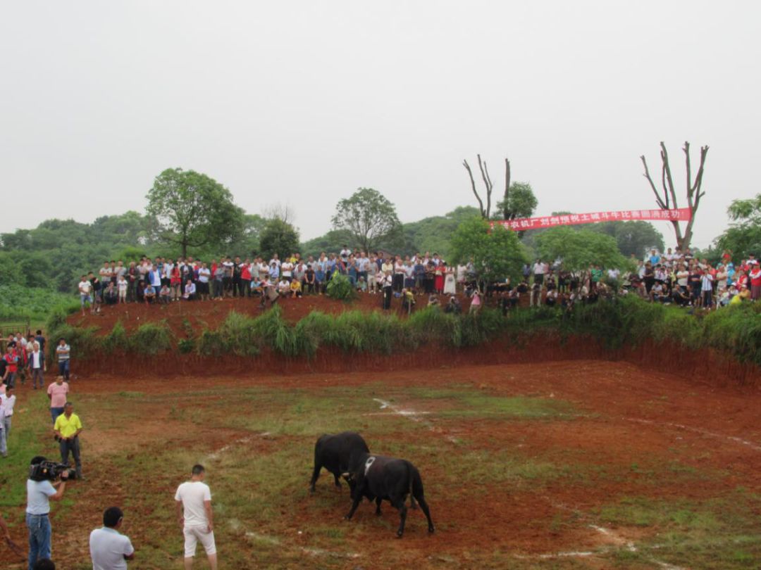 高安有多少人口_高安五一旅游攻略全在这里,吃喝玩乐样样齐全(2)