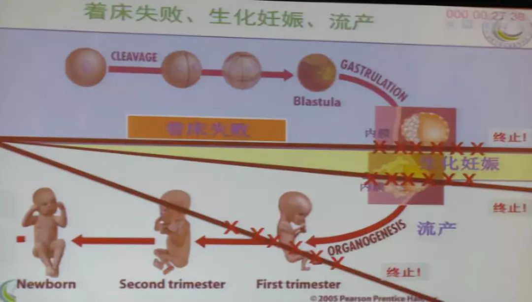 验孕什么时候验比较好 016d383361564ac9a40915e3619c492f.jpeg