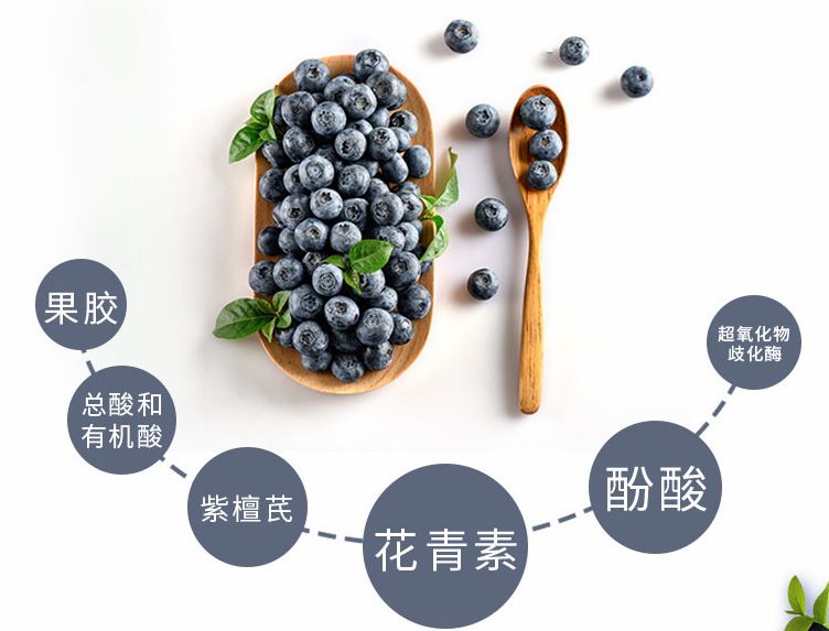 九个月可以吃整个蓝莓吗 0940c16302d144929187f17a35deff04.jpeg