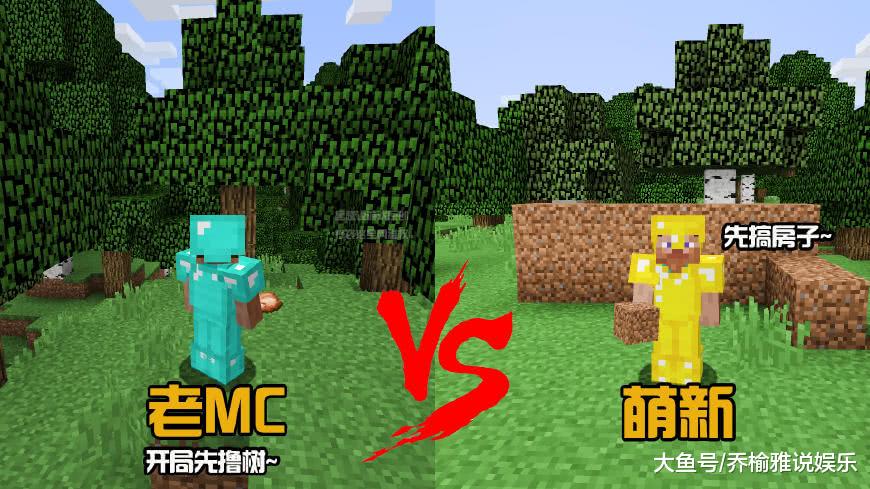 我的世界: 萌新与老mc的区别, 从这五个方面就可以看出来!