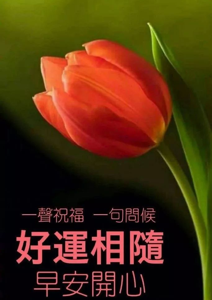 超温馨的早上好问候祝福语动态图片 ,清晨最美暖心的问候祝福语短信