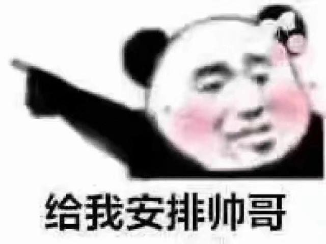 热门表情包,你忙吧,我打游戏了