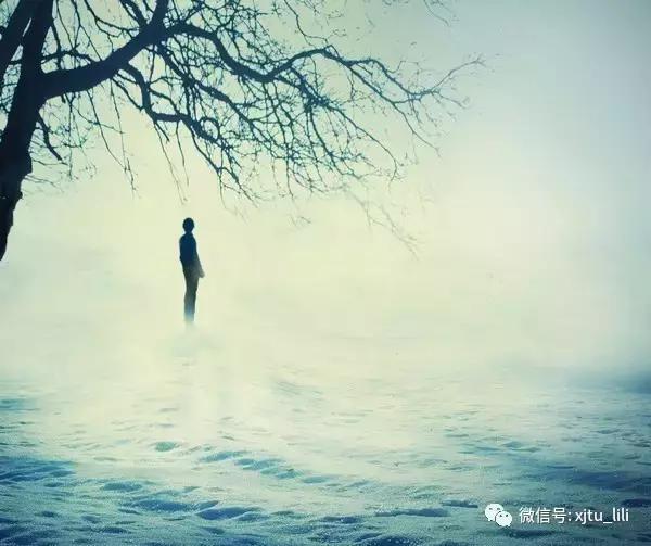 与无缘有关的故事