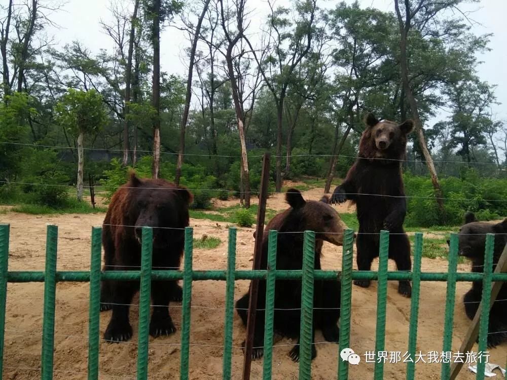 万安山野生动物欢乐世界