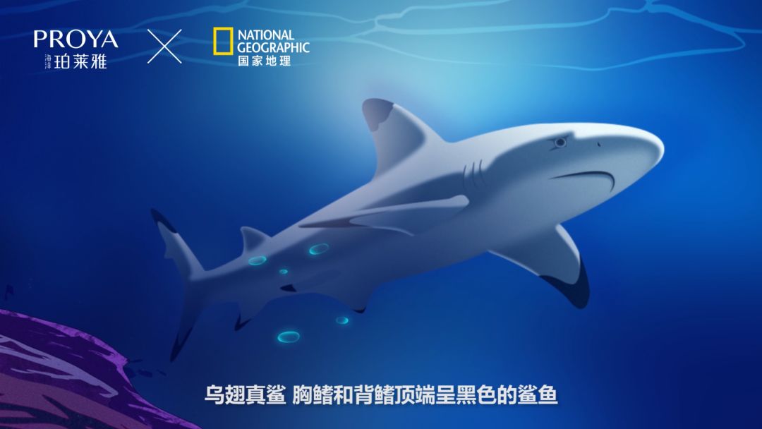 物:南极冰海活性菌,海天使在画面质感满满的手绘溯源日记里,乌翅真鲨
