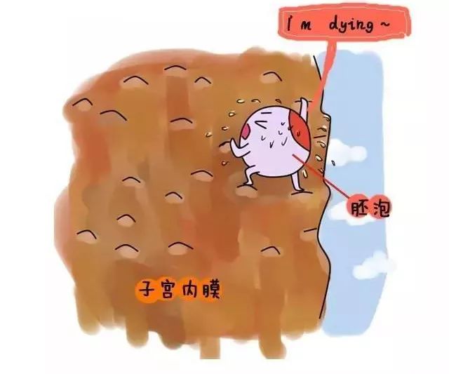 201ce7a7ce584948af47b768ee4253d9.jpeg