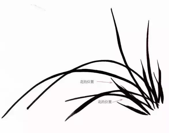 տʦ㻭,!,ʵ,ӦȻ滭ϵϼ
