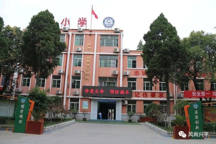 兴平秦岭小学来了一群小萌娃