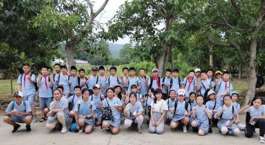 我实践,我快乐——洪宽小学参加社会实践活动报道