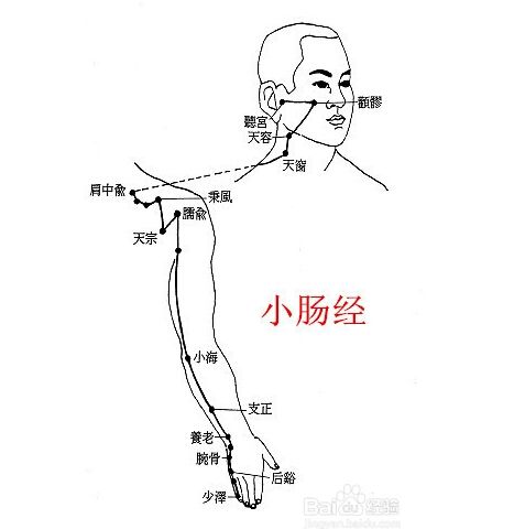 重庆六合学校巧用经络维护自己的健康