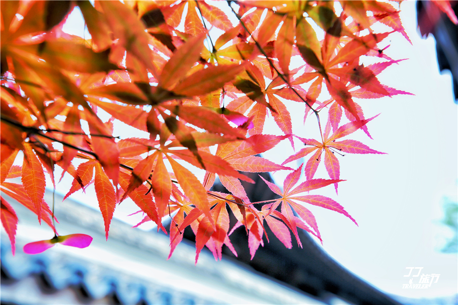 中国近代海军的鼻祖在马尾，船政参观感悟当年怎么被日本轻易打败