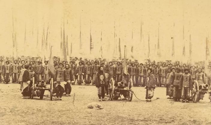 如果丧尸病毒真的爆发,那一定会被人类虐到灭