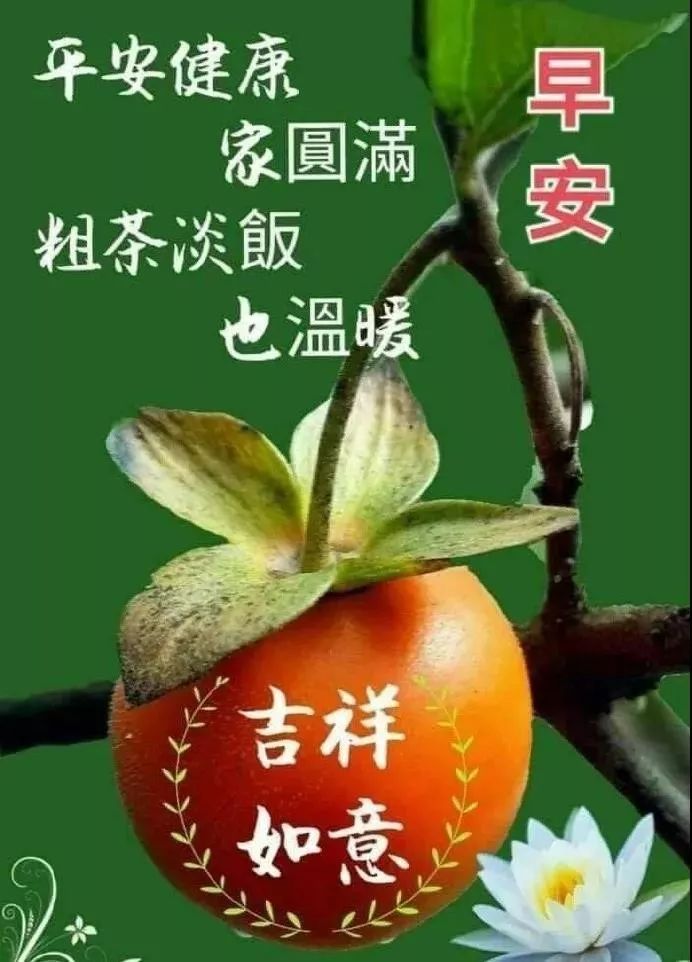 糿ʺͼƬ糿̬ȫ