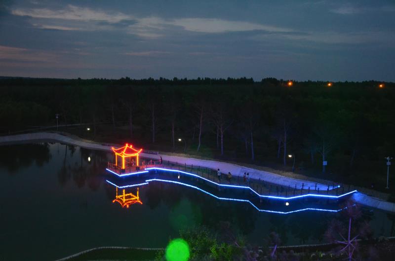 美图集锦:依安植物园美丽夜景