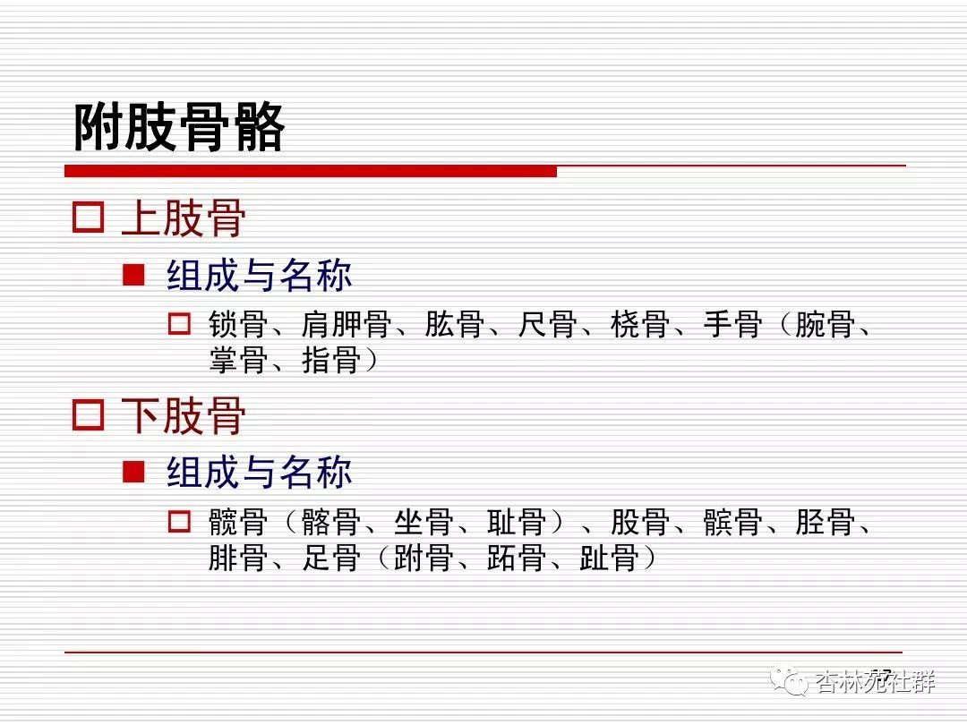 支持运动加保护肌肉动力骨杠杆,关节枢纽连邻骨体表标志要记牢,临床