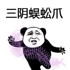 【熊猫头表情包】会耍功夫的熊猫头你遭得住吗