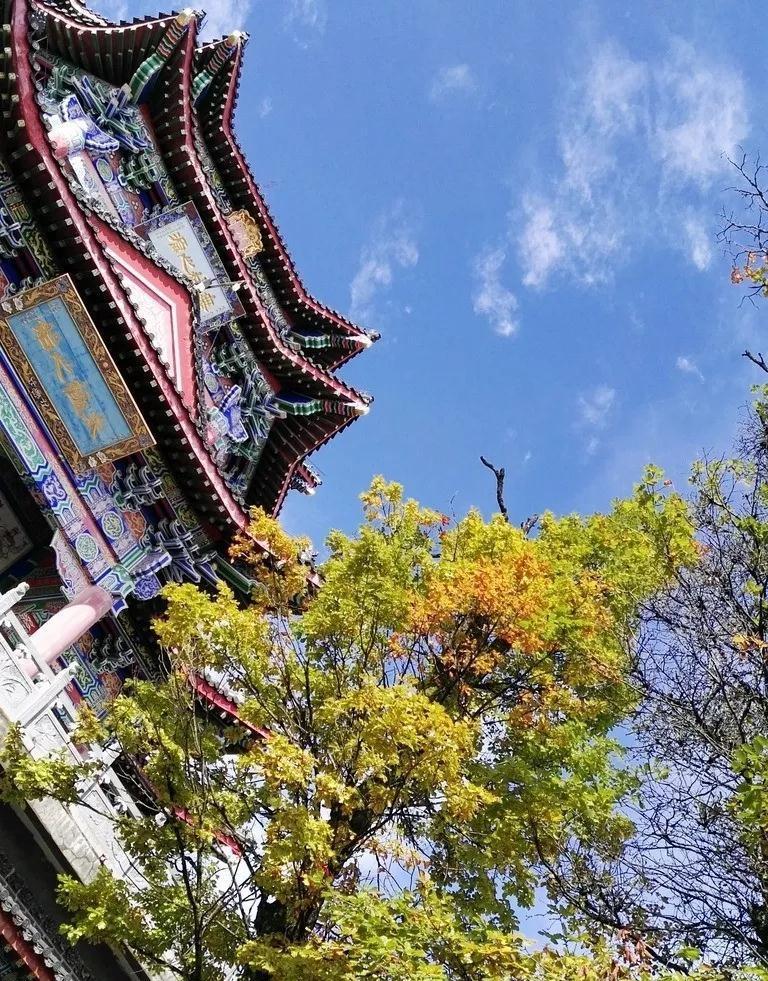 @西安人,一路向西3小时这个5A级景区免费啦