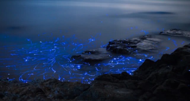 原创这个星球最美景色蓝色星海哭泣石头它们还是大海的眼泪