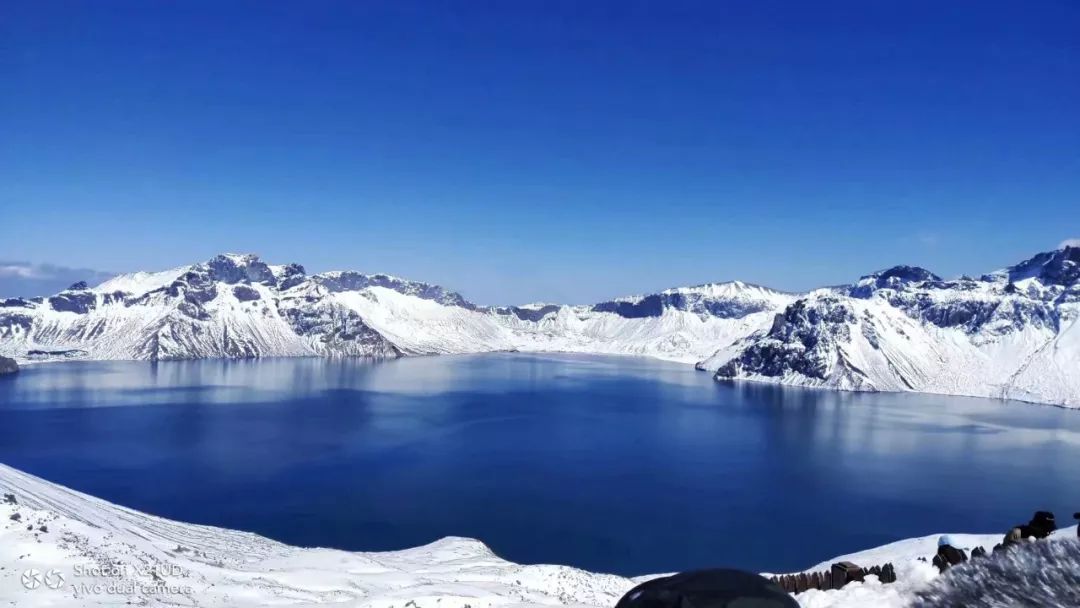 长白山人参,每日食一片,美容养颜气血足,还能改善宫寒