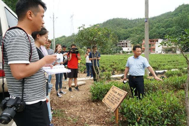 商南县有多少人口_一场关于商南人嘴巴的欲望革命,看完你会垂涎三尺