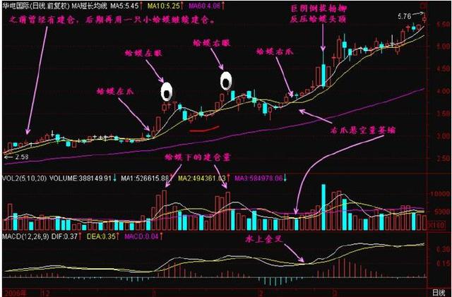 瑞贝卡八,小结金蛤蟆是庄家在底部区间的建仓形态之一,真假金蛤蟆的