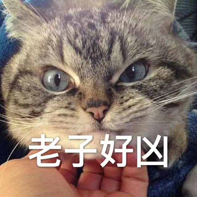 表情包:我感到压力很大,委屈巴巴看着你