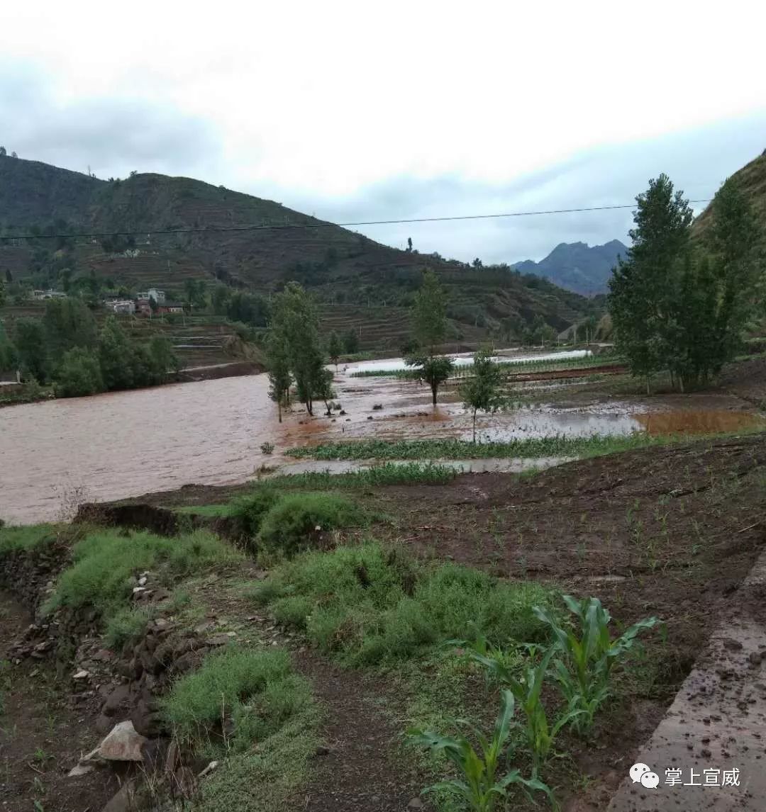 掌上宣威粉丝信息:昨晚宣威杨柳镇突降暴雨,山上的雨水夹杂着泥沙