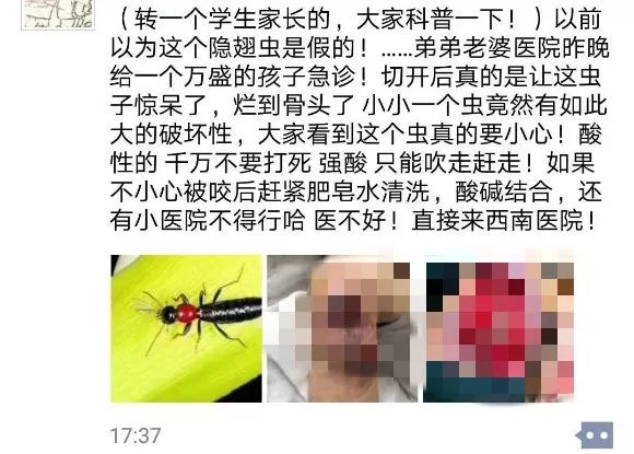                     3岁男孩被虫咬后器官衰竭，妈妈们认准这五种虫子！