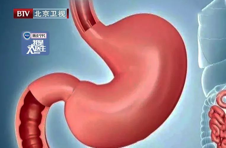 胃越撑越大,越饿越小?真相竟是这样!