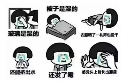 a8436bed1e8c411196214027cf022ccc.jpeg
