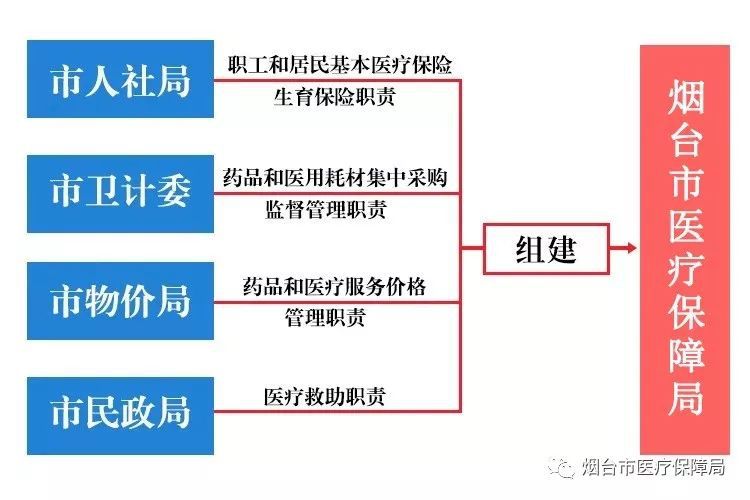 公众号人口_人口普查