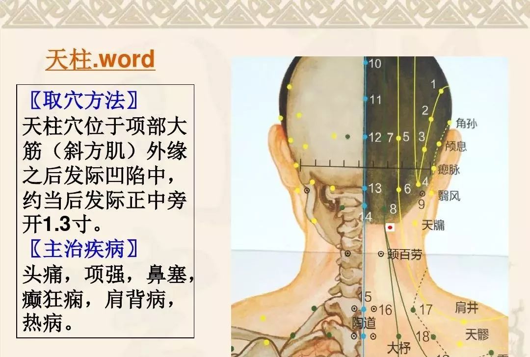 颈肩腰腿痛的常用穴位详解