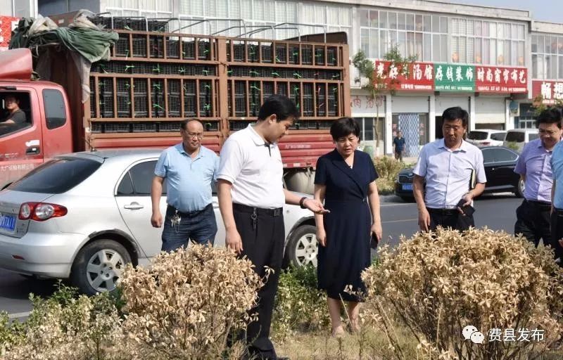 张钰察看全县旱情