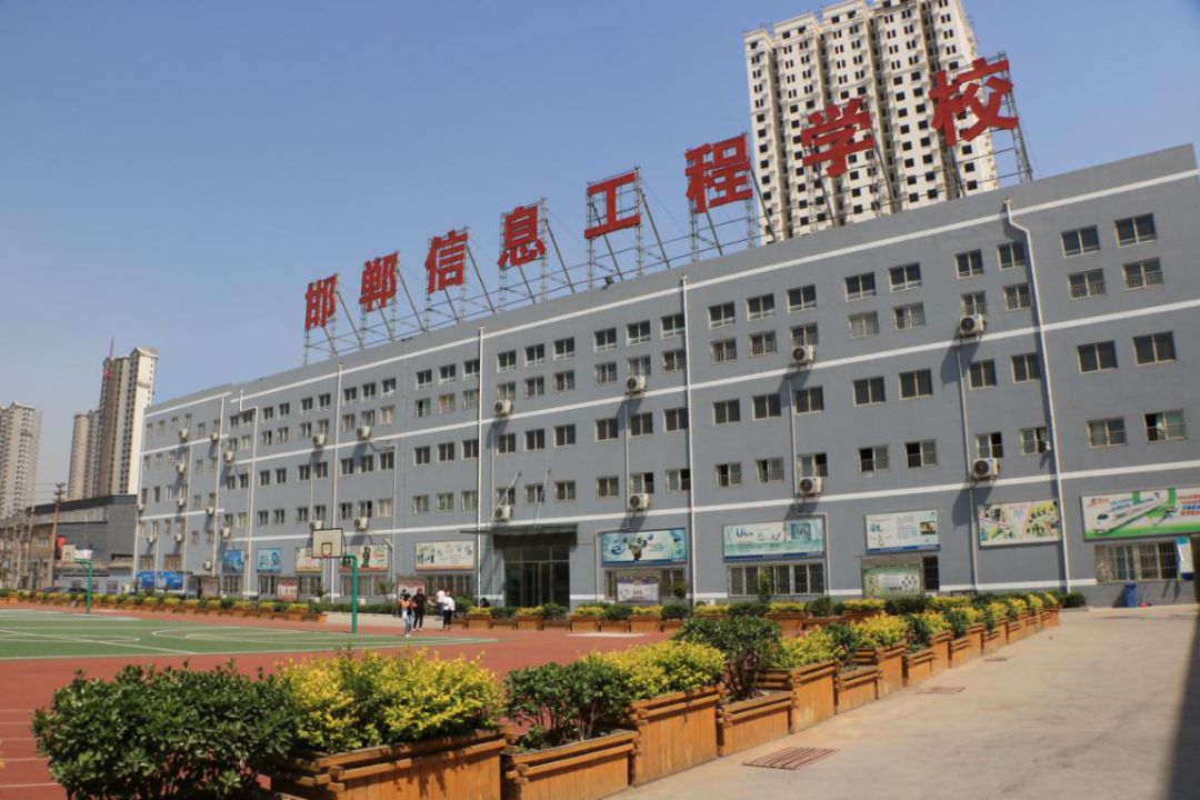弹性_弹性精华露价钱_洛施花舍