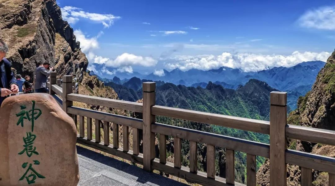 湖北省文化和旅游厅组织武汉,十堰,神农架,恩施等多地文旅部门和省内