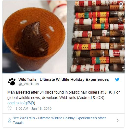 卷发器排行_发明卷发器的少年,在犹太商人建议下转行武器,结局让犹太人后悔