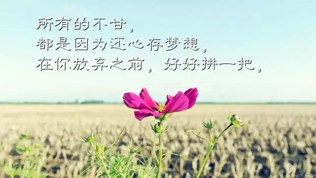 d17a52f883ff40118a5b3a92c7b51f38.jpeg