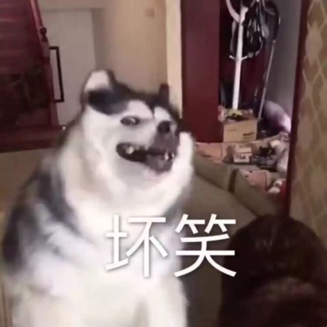 眼睛和牛猜成语_看图猜成语(3)