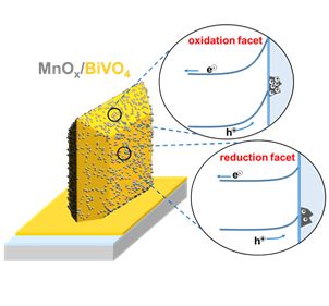 晶面选择性担载助催化剂调控bivo4晶体光电催化水氧化性能