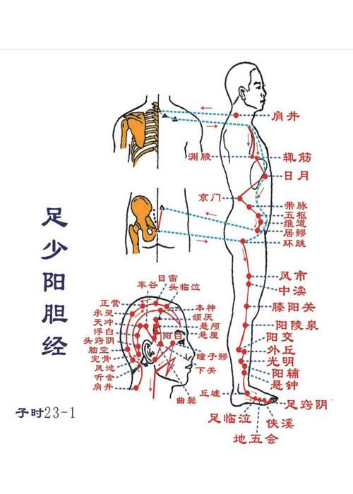 重庆六合学校巧用经络维护自己的健康