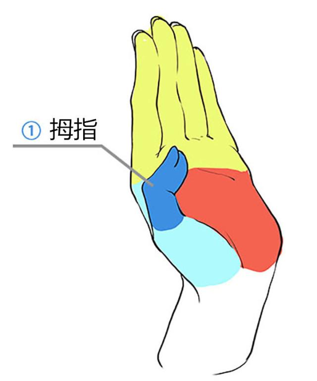 手怎么画?绘画板绘初学者绘画技巧,教你如何轻