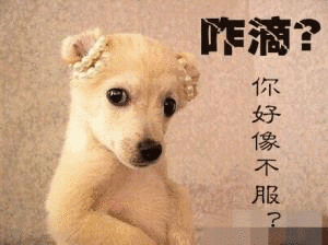 我妈在小狗面前狠揍我 杀