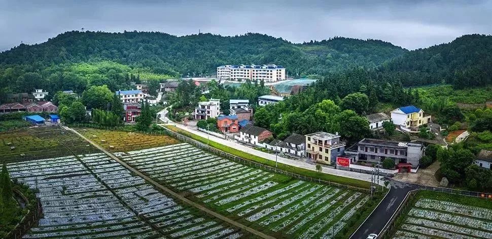 耒阳公平镇曾家坪人口有多少_重庆曾家镇虎峰山村(2)