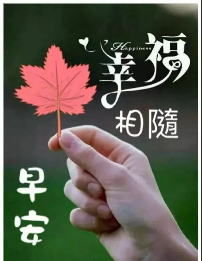 早上好问候语图片大全 早上好祝福表情全集