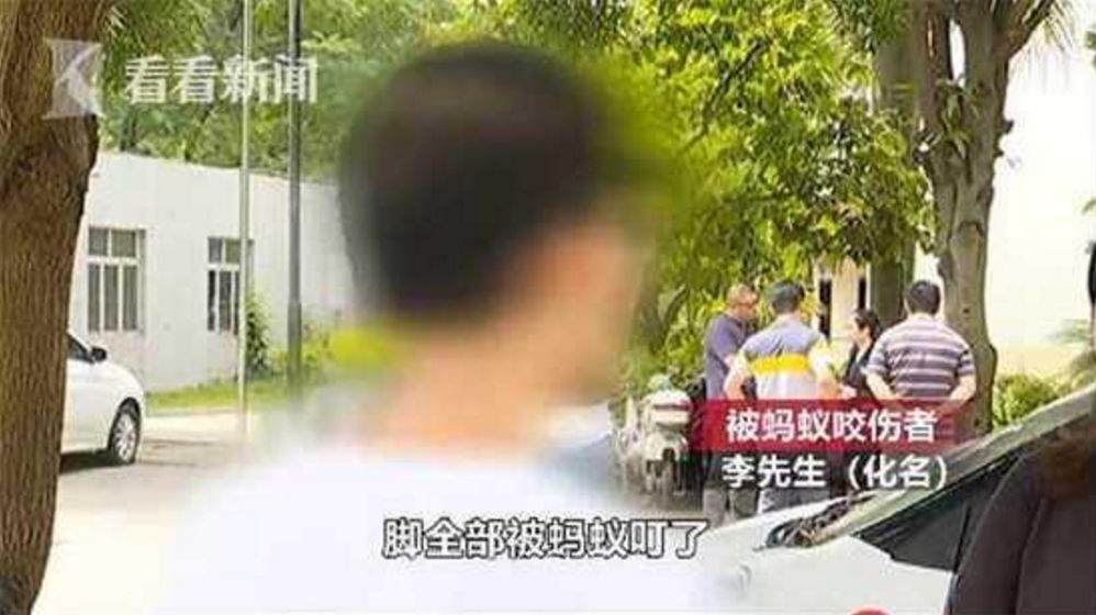                     3岁男孩被虫咬后器官衰竭，妈妈们认准这五种虫子！