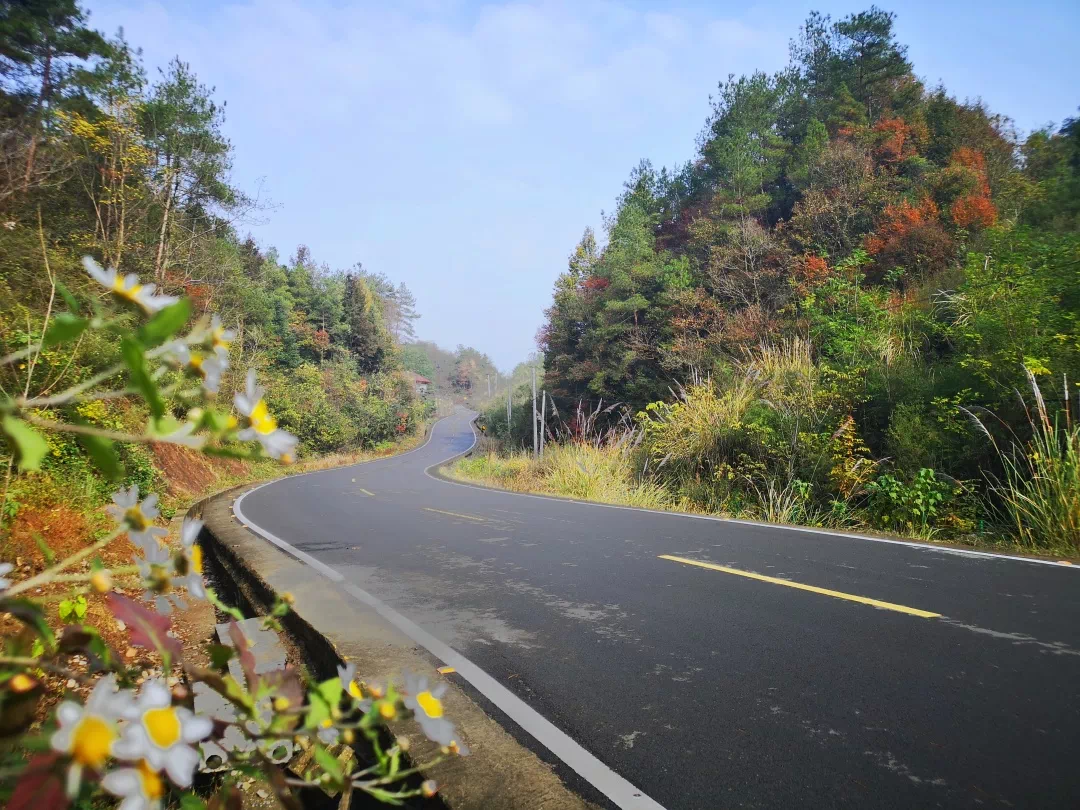 远安今年"四好农村路"开建了,有没有你家?