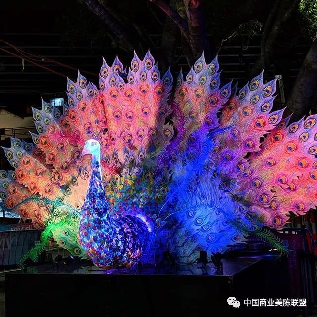 2019缤纷悉尼灯光音乐节装置艺术作品regalpeacock