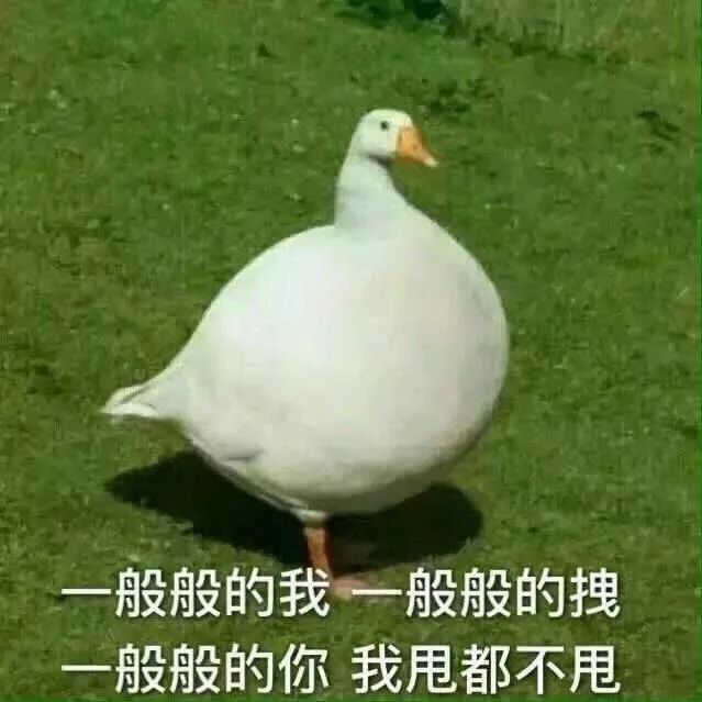 danny会跳舞英文怎么说