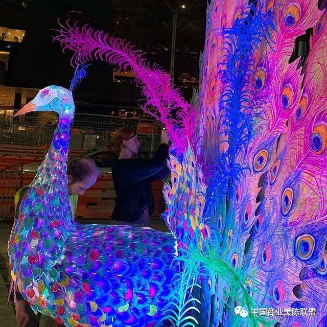 2019缤纷悉尼灯光音乐节装置艺术作品regalpeacock