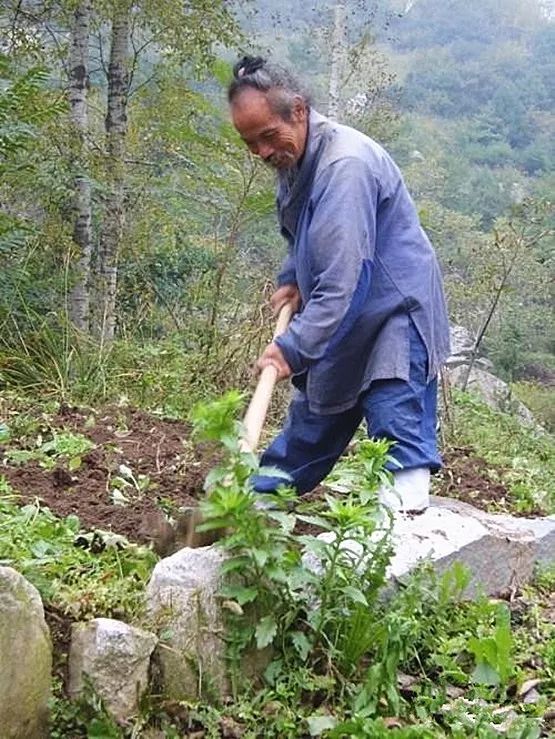 五千多位隐士藏身终南山 过着千年前的生活_张剑峰